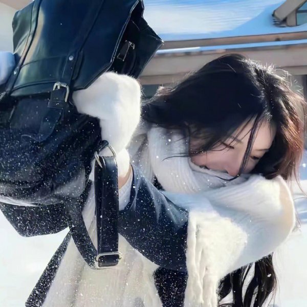 杜拉拉追婚记
